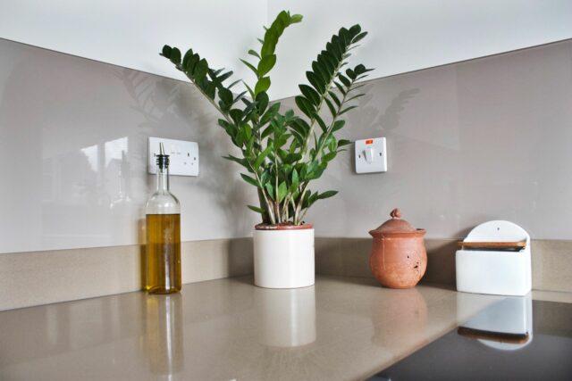 Minimalist White Kitchen